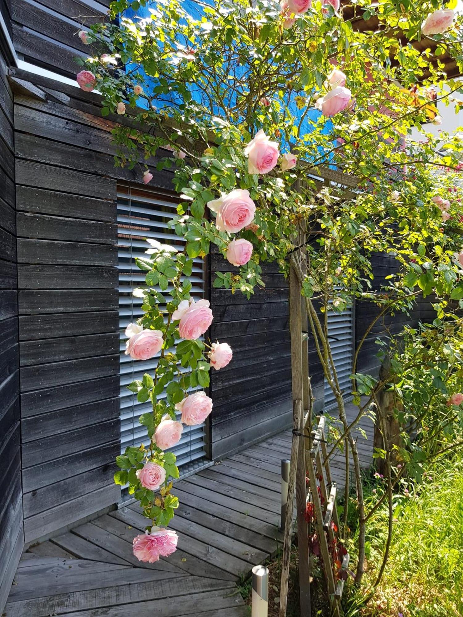 B&B Sunnesite Прателн Екстериор снимка